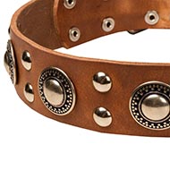 Leather dog collar in "Rock n Roll" Style